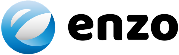 Enzo Internet